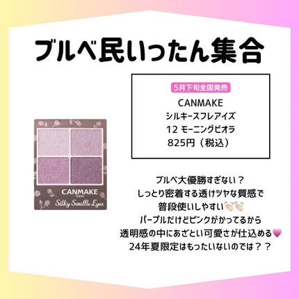 シルキースフレアイズ/キャンメイク/アイシャドウパレットを使ったクチコミ(5枚目)