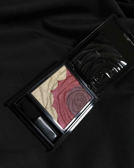 ダークローズシャドウ/KATE/アイシャドウパレットを使ったクチコミ(2枚目)