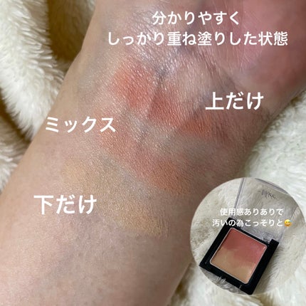 リシェ レッドトリック アイコンシーラー/Visée/パレットコンシーラーを使ったクチコミ(2枚目)