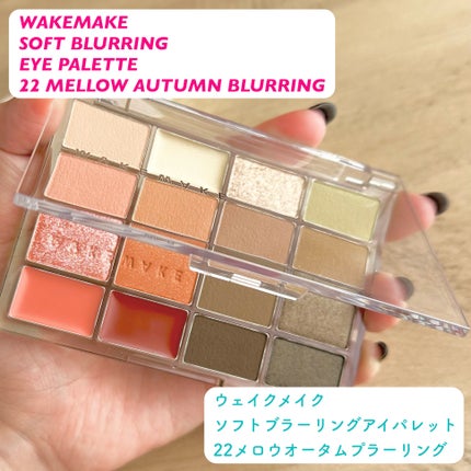 ソフトブラーリングアイパレット/wakemake/アイシャドウパレットを使ったクチコミ(2枚目)