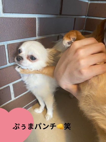 Fruit Sheet Mask /TONYMOLY/シートマスク・パックを使ったクチコミ(5枚目)