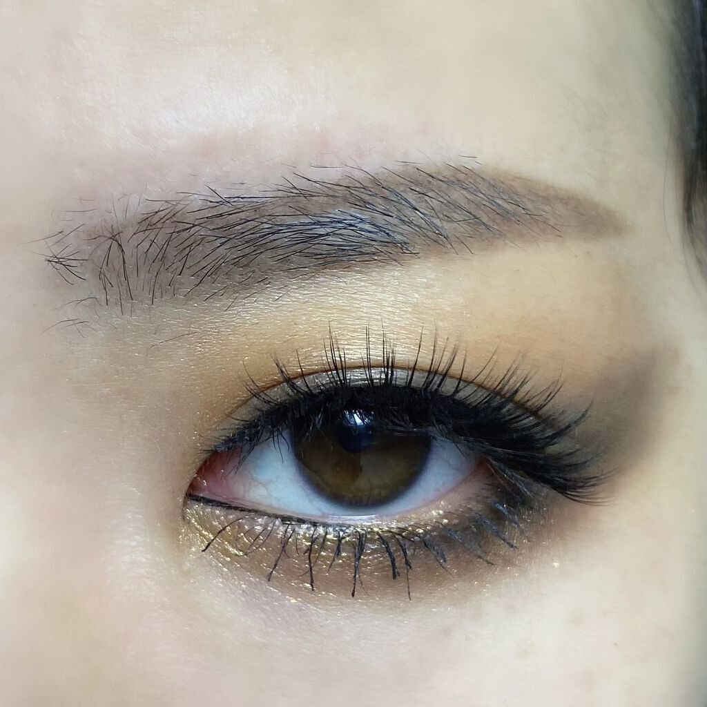 ヴィーナス・イモータリス/Lime Crime(海外)/アイシャドウパレットを使ったクチコミ（2枚目）