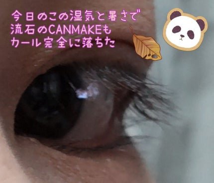 ライトリフレクティングセッティングパウダー プレスト N/NARS/プレストパウダーを使ったクチコミ(5枚目)