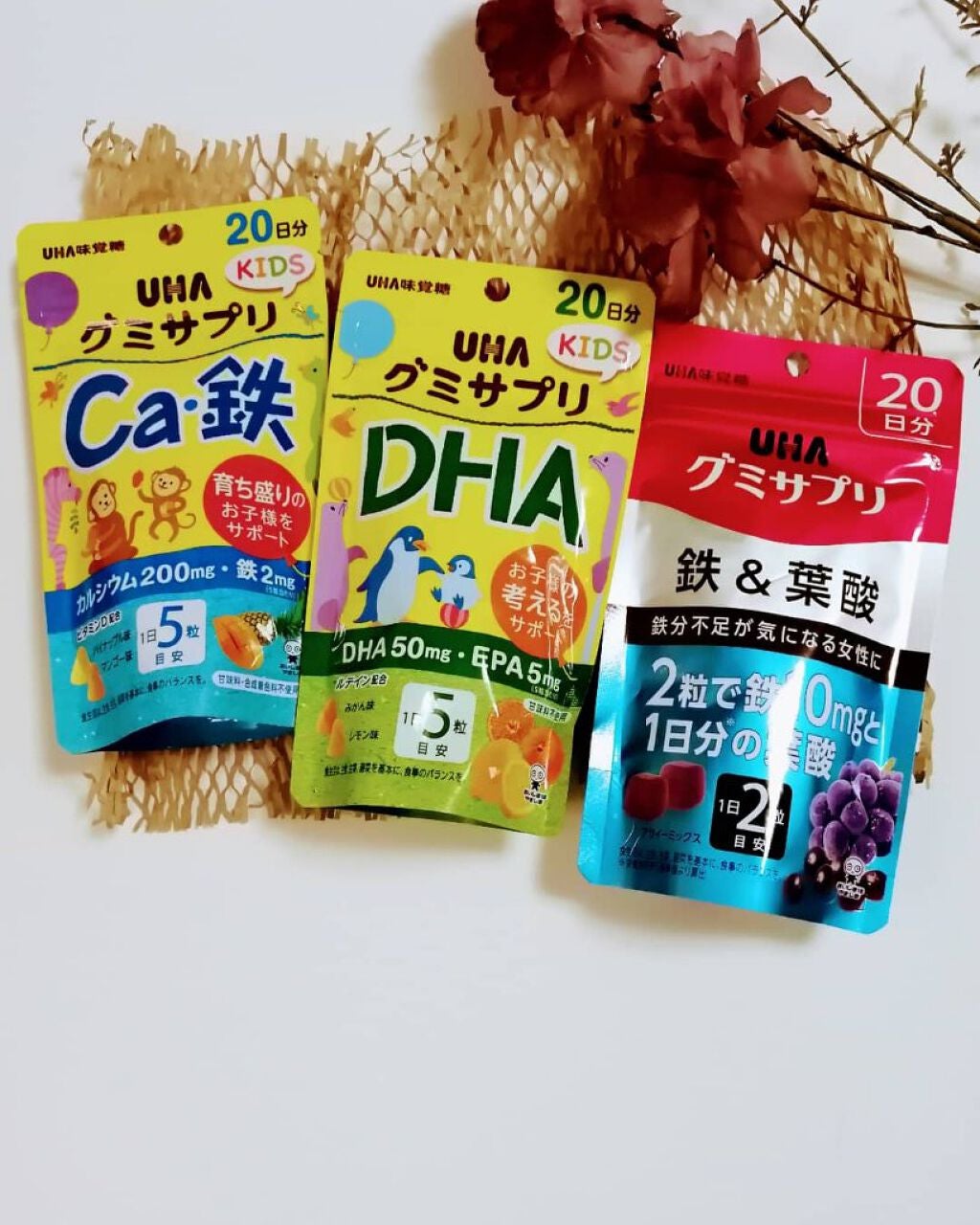 グミサプリ 鉄&葉酸/UHA味覚糖/健康サプリメントを使ったクチコミ(1枚目)
