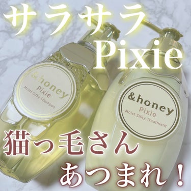 &honeyの新ヘアケア💆🏻‍♀️✨　
⁡
髪の細い方に多い悩みのパサつきや
絡まりをケアできるシリーズが新登場🎉
⁡
⁡
\ パサつき・猫っ毛に特化😻/
⁡
▶︎&honey Pixie
モイストシル