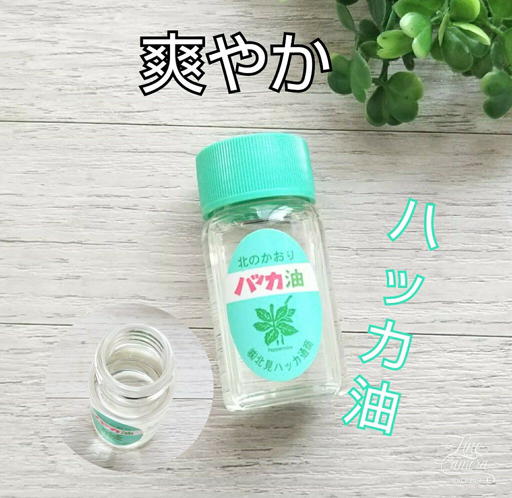 ハッカ油 スプレー/北見ハッカ通商/その他を使ったクチコミ(1枚目)