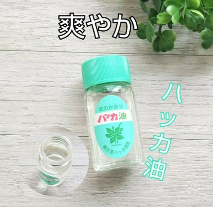 ハッカ油 スプレー/北見ハッカ通商/その他を使ったクチコミ(1枚目)