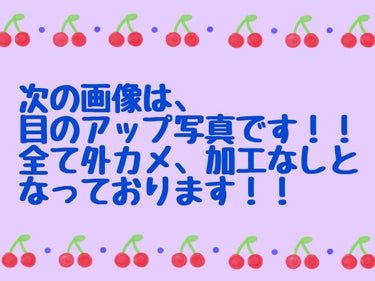 MOLAK 1day ダズルグレー/MOLAK/ワンデー（１DAY）カラコンを使ったクチコミ（2枚目）