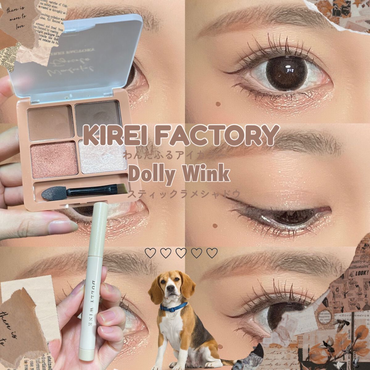 わんだふるアイカラー/KIREI FACTORY/アイシャドウパレットを使ったクチコミ（1枚目）