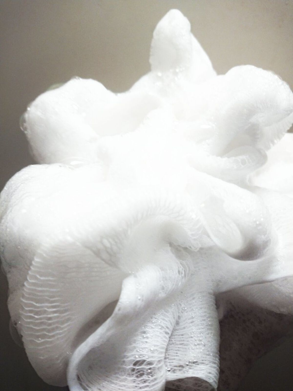 ããŠã³ã·ã¢ ããã£ãœãŒã ãã¯ã€ããœãŒãã®éŠã/Bouncia/ããã£ãœãŒãã䜿ã£ãã¯ãã³ãïŒ4æç®ïŒ