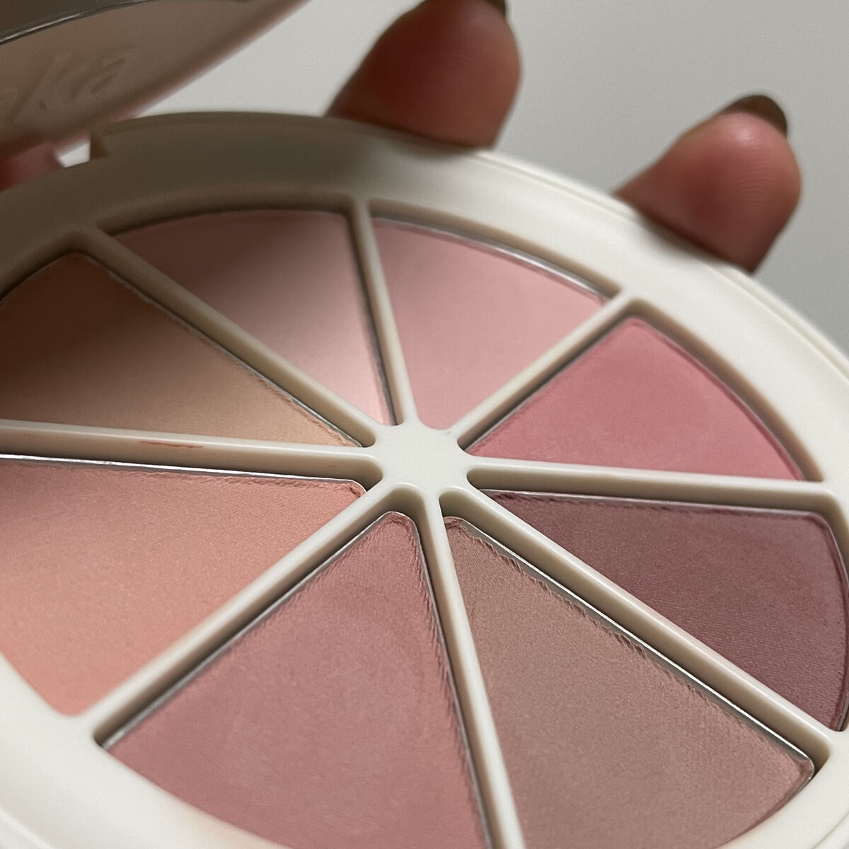 New Level Eyeshadow Palette/Laka/アイシャドウパレットを使ったクチコミ（3枚目）