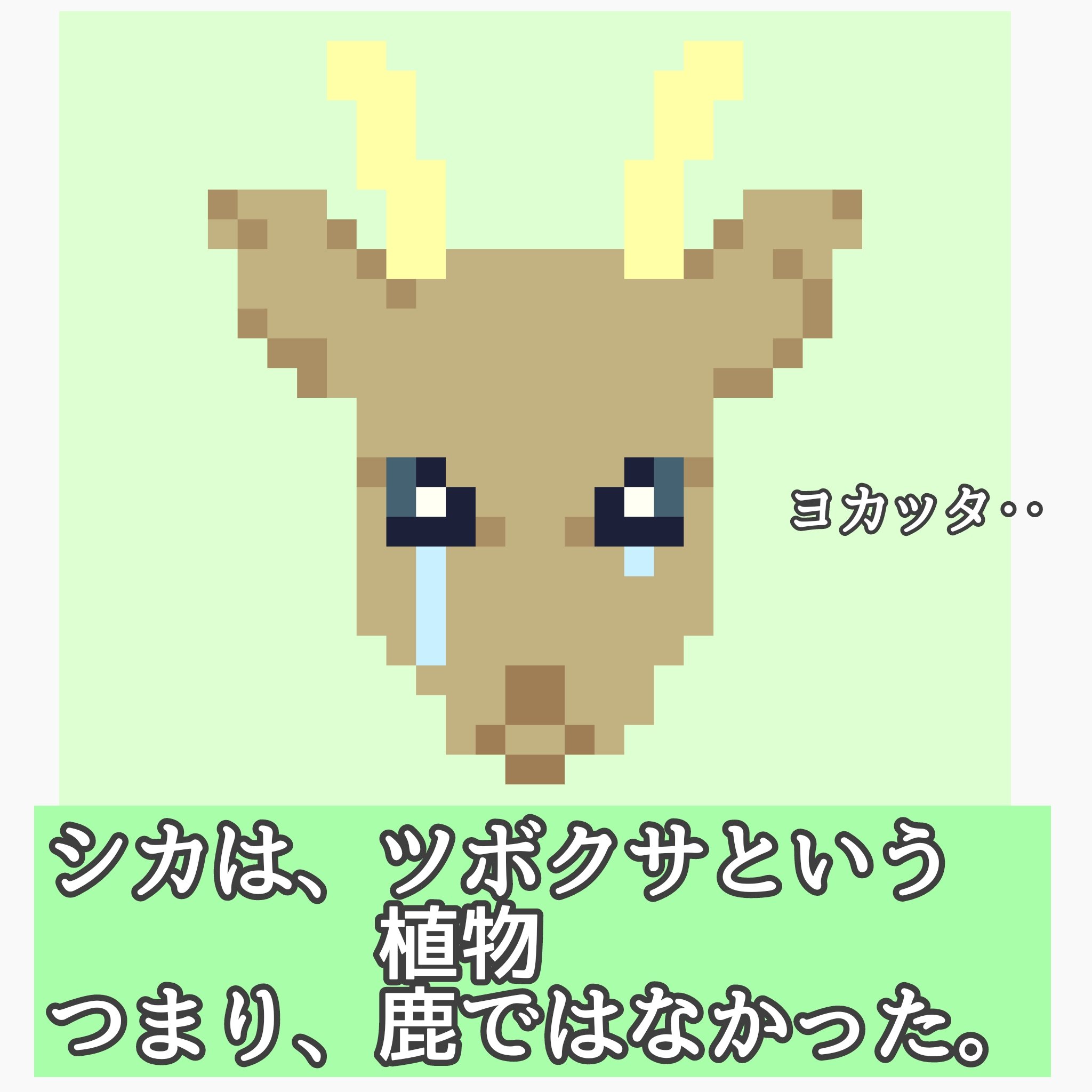 ティーツリーシカスージングトナー/BRING GREEN/化粧水を使ったクチコミ（2枚目）