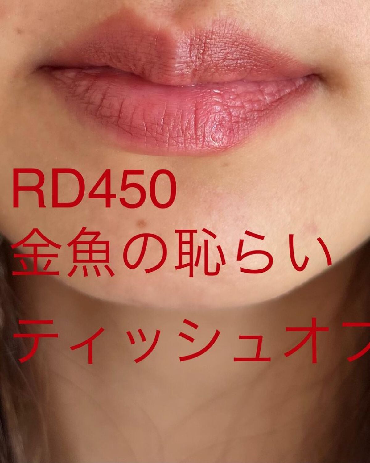 ネンマクフェイク ルージュ/Visée/口紅を使ったクチコミ(5枚目)