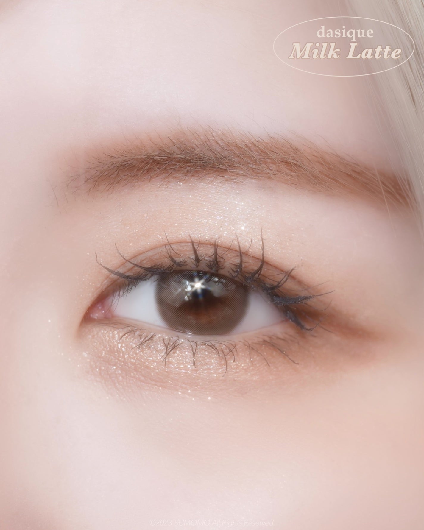 シャドウパレット/dasique/アイシャドウパレットを使ったクチコミ(5枚目)