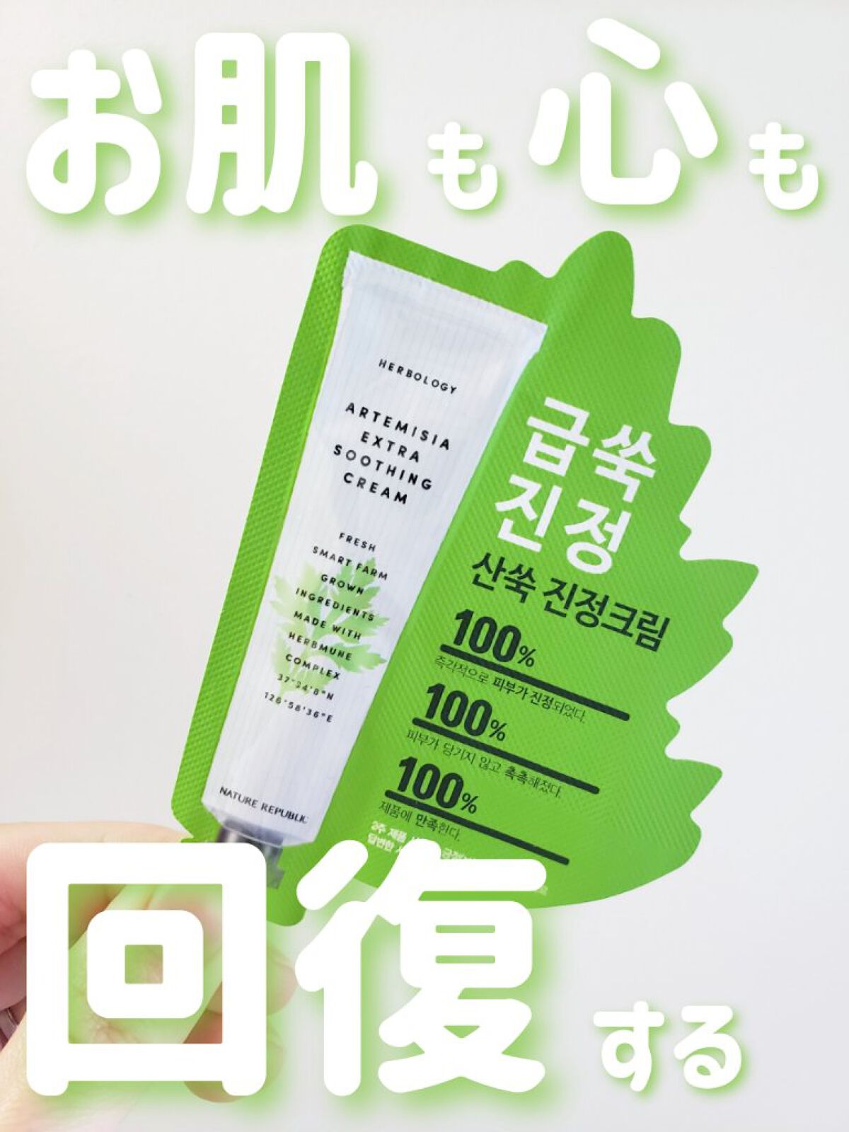 ハーブオロジーアルテミシアスージングクリーム/ネイチャーリパブリック/フェイスクリームを使ったクチコミ（1枚目）