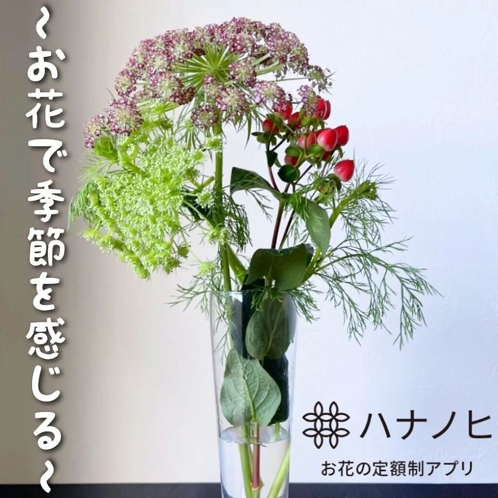 ハナノヒ サブスク/ハナノヒ/その他を使ったクチコミ（1枚目）