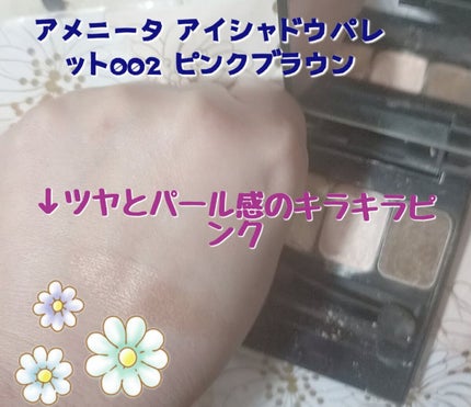 グロスアップアイシャドウ/CEZANNE/アイシャドウパレットを使ったクチコミ(4枚目)