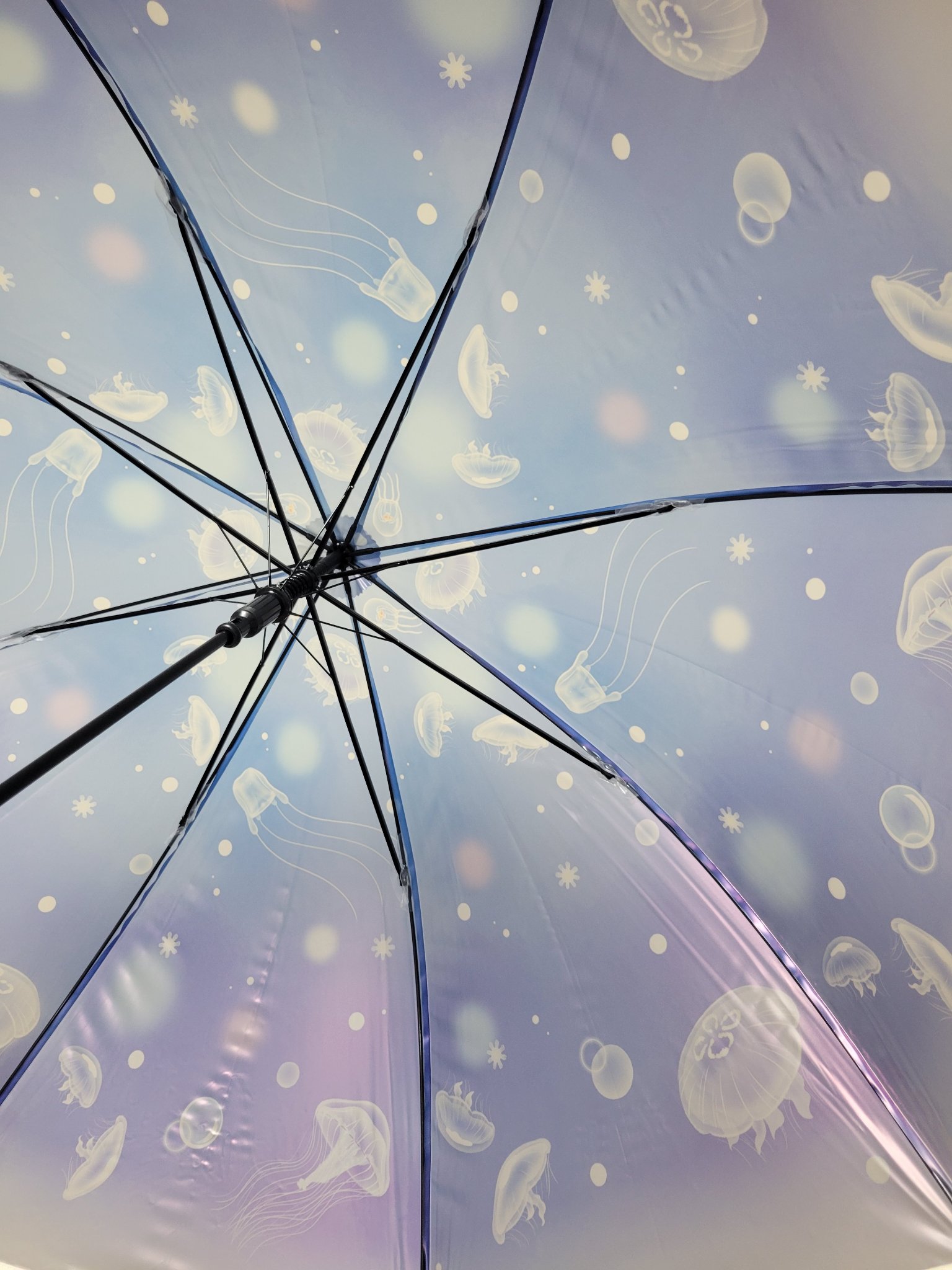 えのすい×Wpc. アンブレラ/Wpc./その他を使ったクチコミ（1枚目）