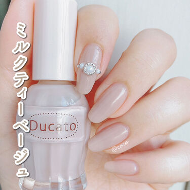 ナチュラルネイルカラーn 040 チャイラテ デュカート Ducato Lips