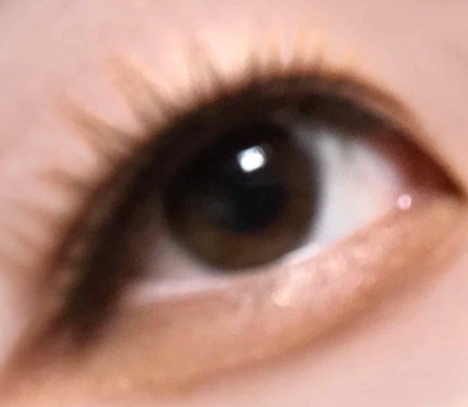 アイラッシュベーシック/DAISO/つけまつげを使ったクチコミ(1枚目)