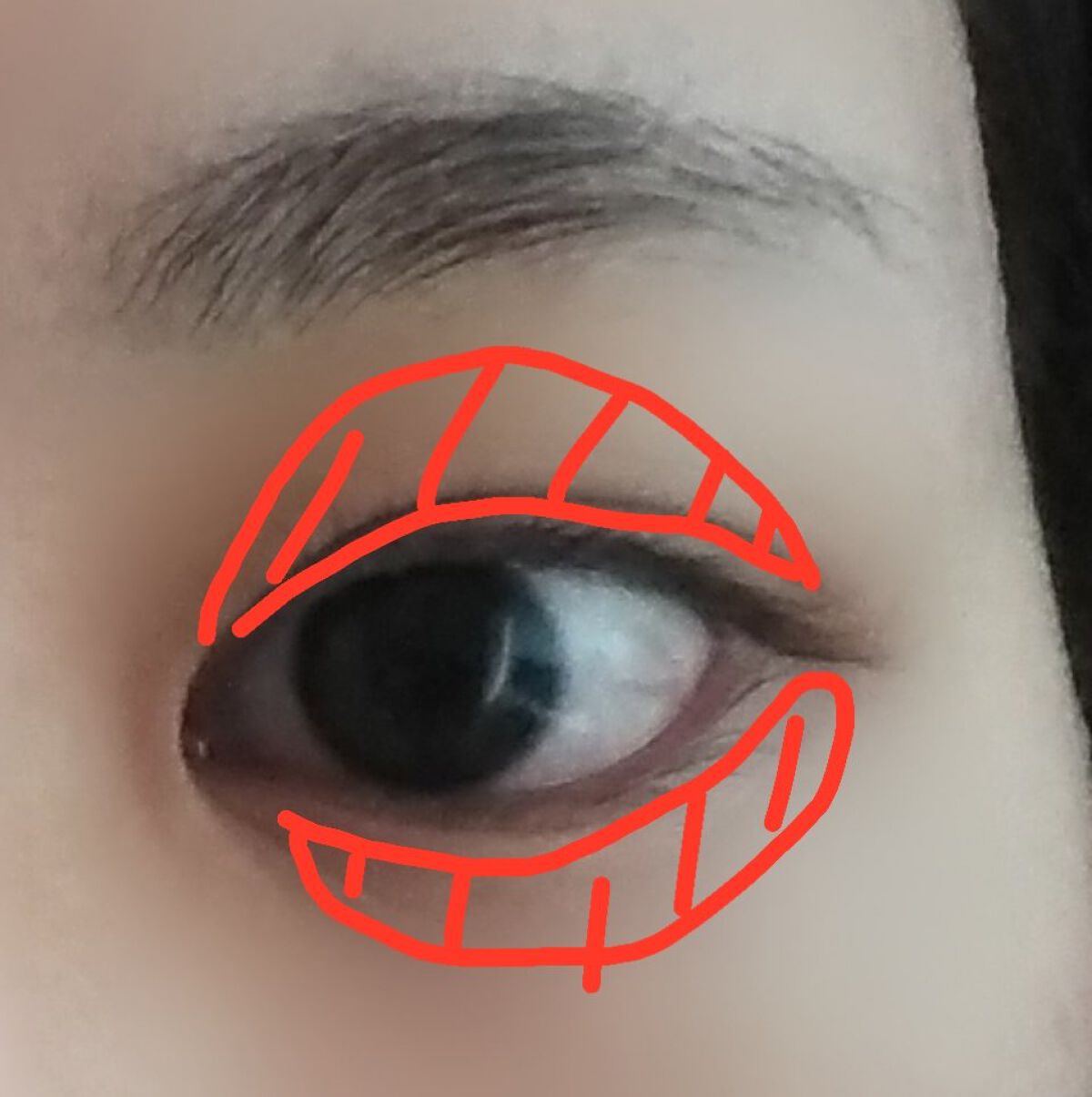 【旧品】パーフェクトスタイリストアイズ/キャンメイク/アイシャドウパレットを使ったクチコミ(7枚目)