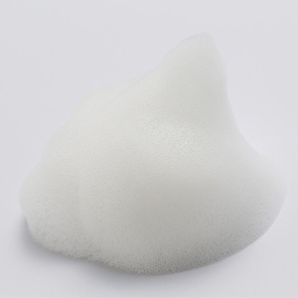 Rジェントルクレンジングフォーム フルーツルーツ