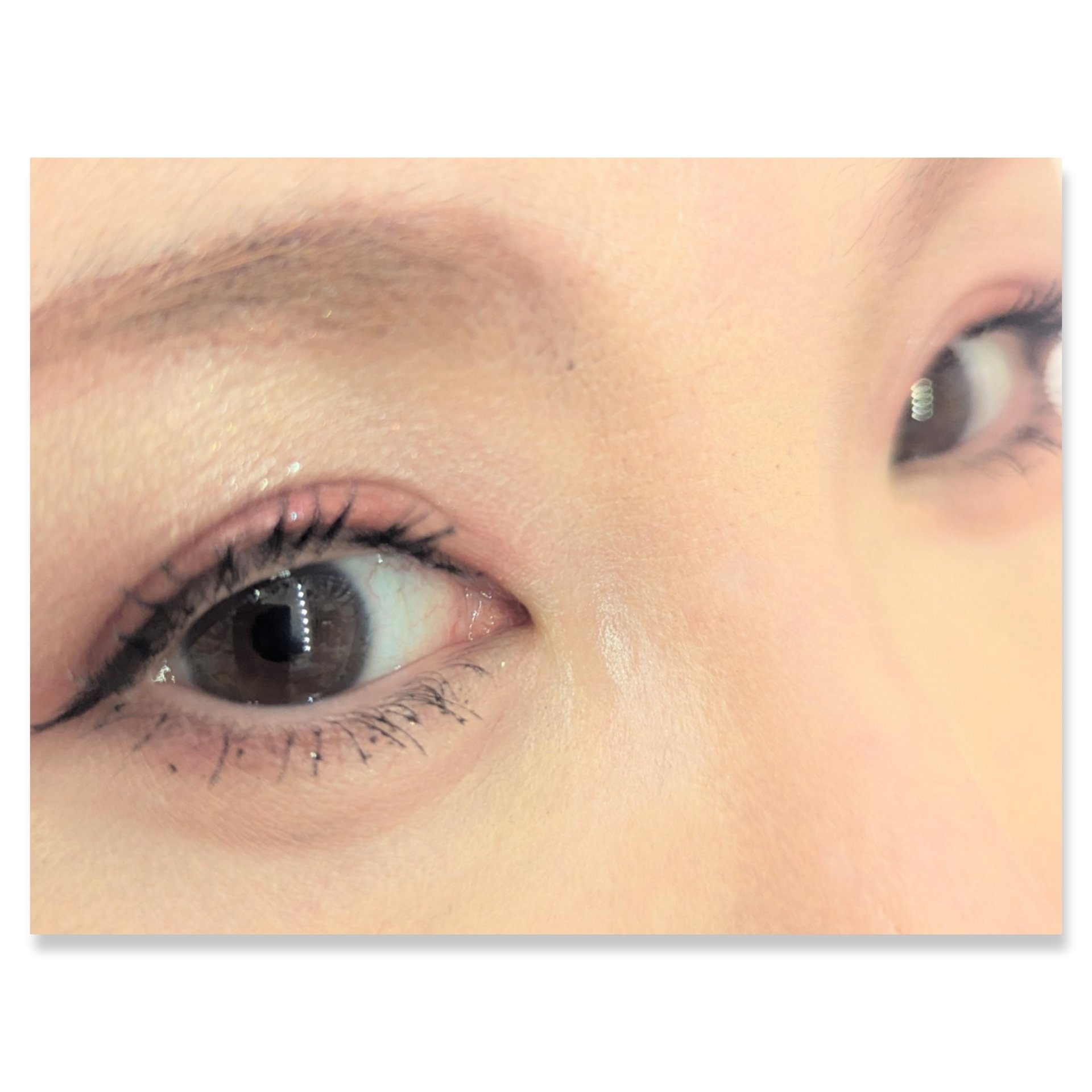 パーフェクトスタイリストアイズ/キャンメイク/アイシャドウパレットを使ったクチコミ（2枚目）