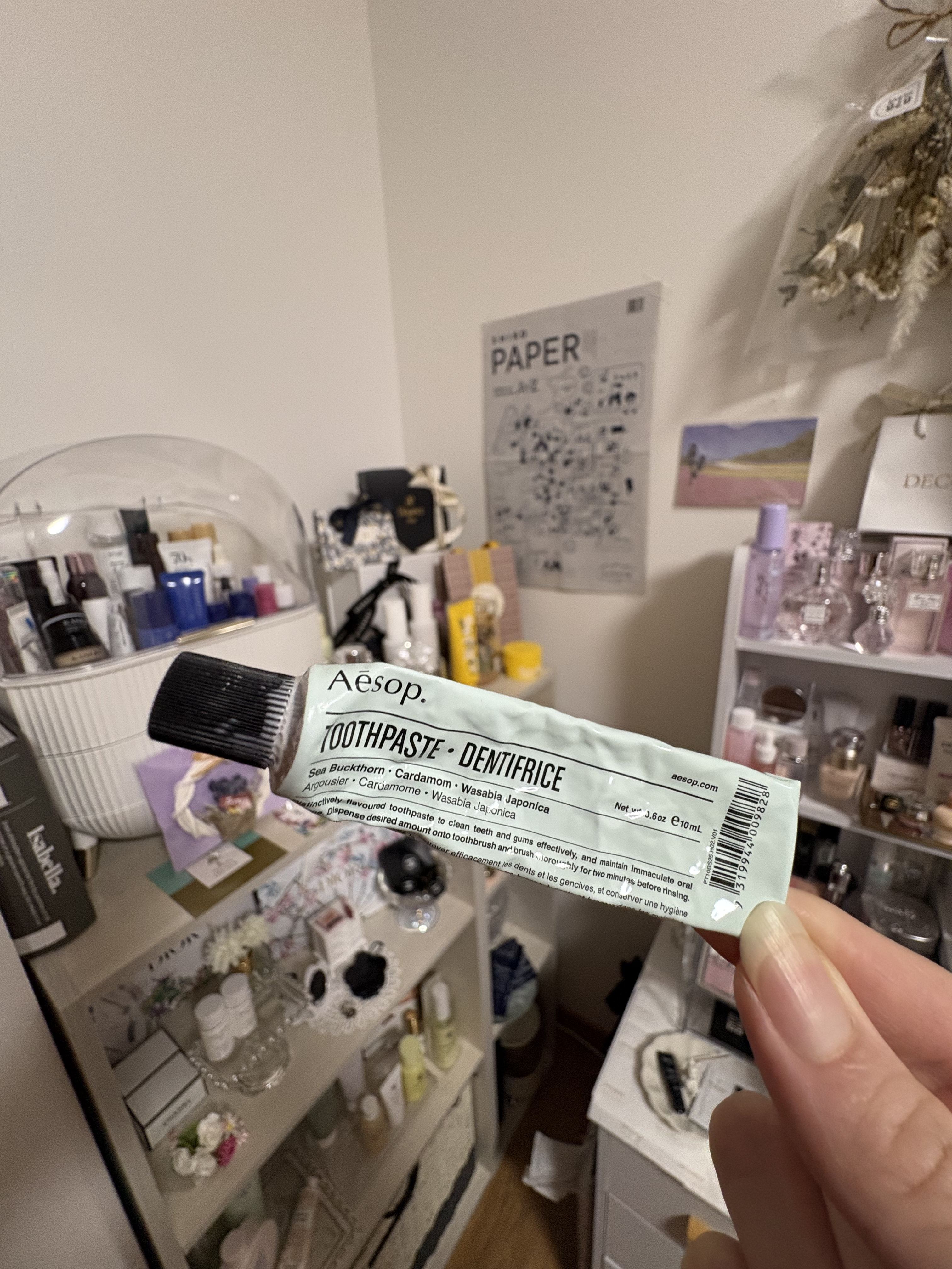 イソップ トゥースペースト/Aesop/歯磨き粉を使ったクチコミ（1枚目）