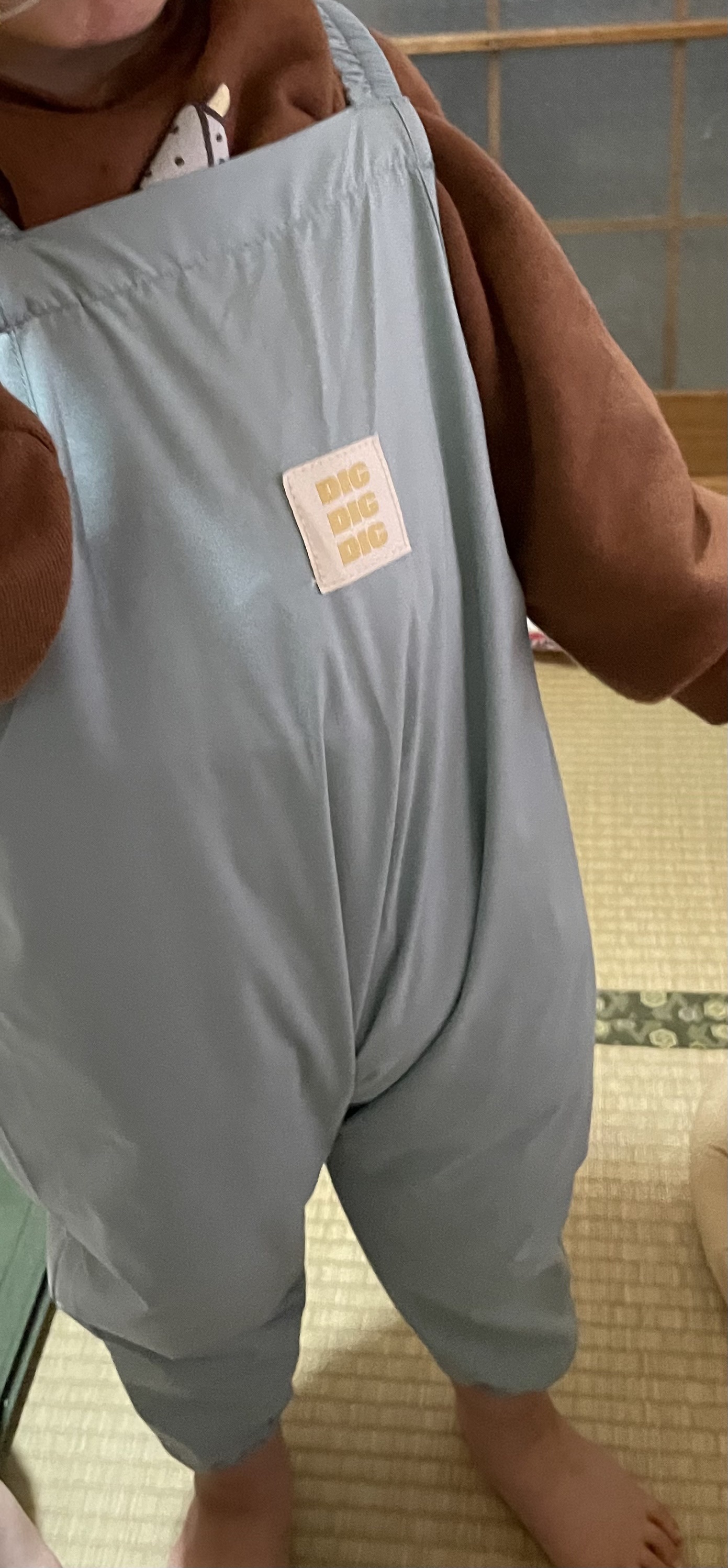 プレイウェア/3COINS/その他を使ったクチコミ（2枚目）