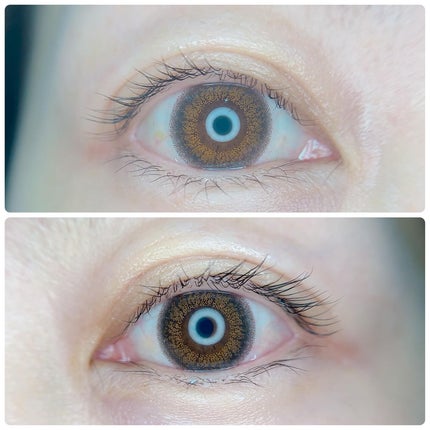 セルフまつ毛パーマキット/シルキーロールズ/その他キットセットを使ったクチコミ(2枚目)