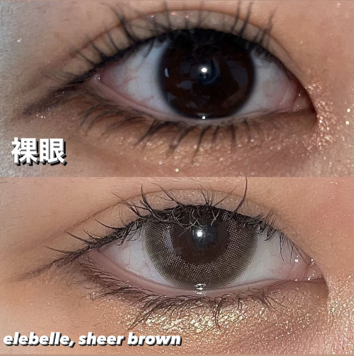  １DAY Refrear elebelle/Refrear/ワンデー（１DAY）カラコンを使ったクチコミ（3枚目）