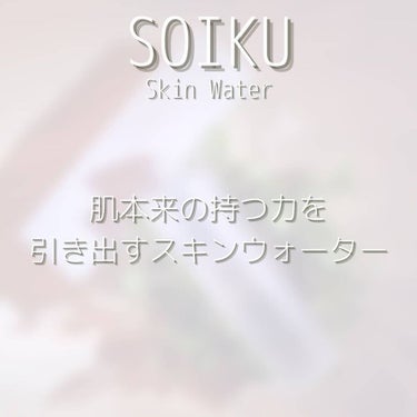 スキンウォーター/SOIKU/化粧水を使ったクチコミ（6枚目）