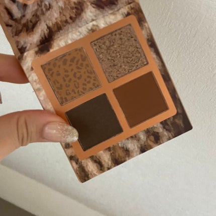 Venus Marble アイシャドウキャットシリーズ/Venus Marble/アイシャドウパレットを使ったクチコミ(2枚目)