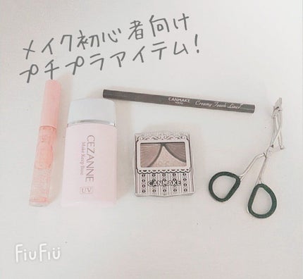 皮脂テカリ防止下地/CEZANNE/化粧下地を使ったクチコミ(1枚目)