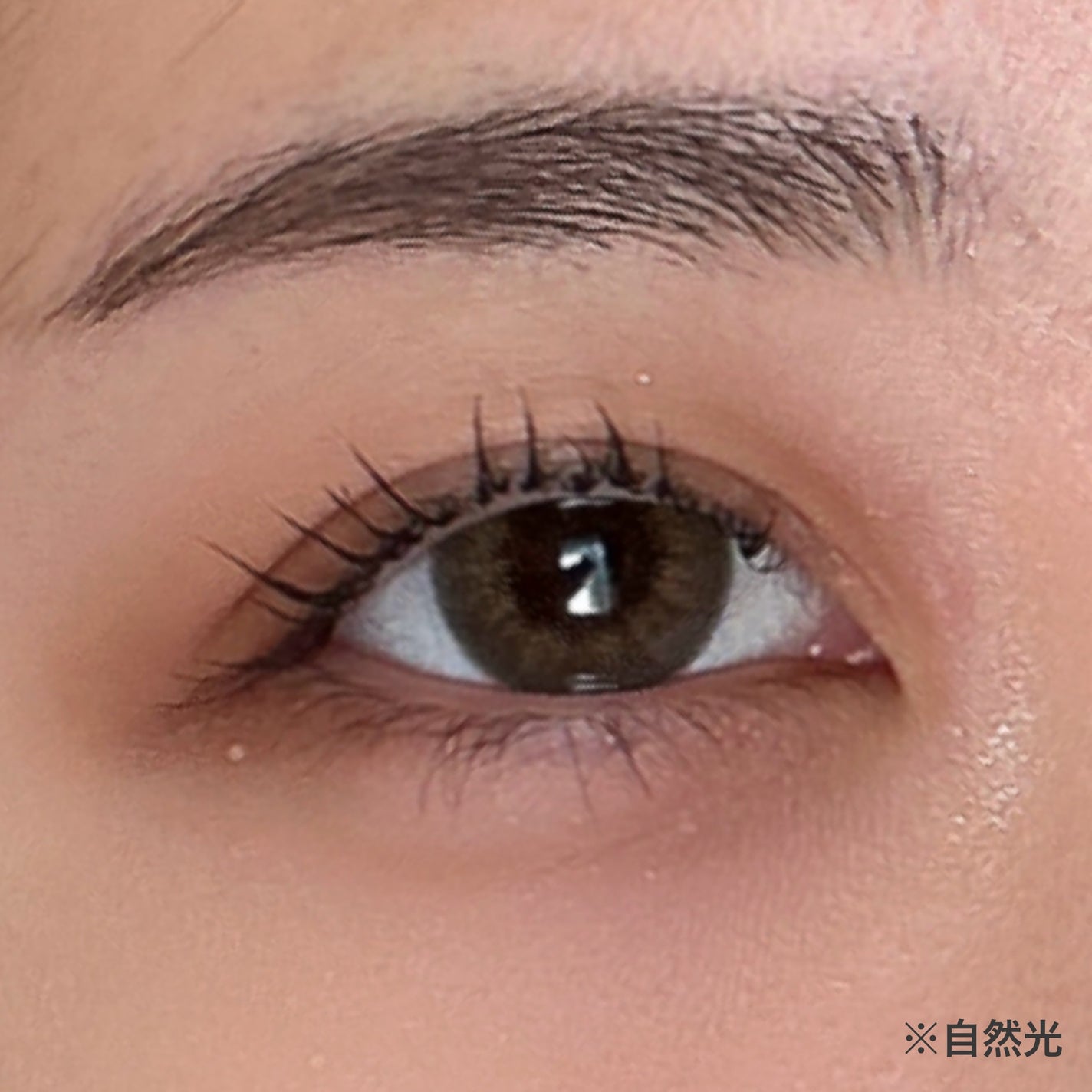 Angelcolor Bambi Series Vintage 1day/AngelColor/ワンデー(1DAY)カラコンを使ったクチコミ(2枚目)