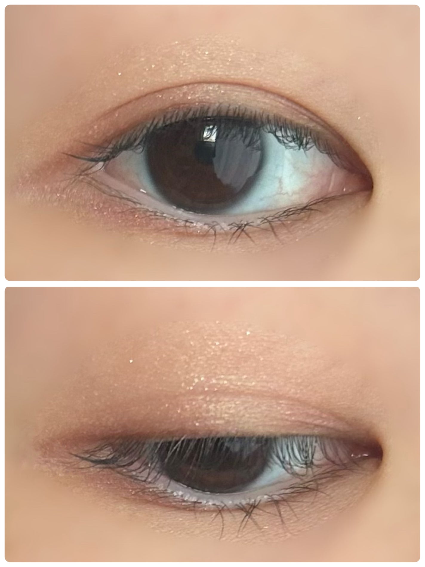 カラードシャドウ/KANEBO/アイシャドウパレットを使ったクチコミ(2枚目)