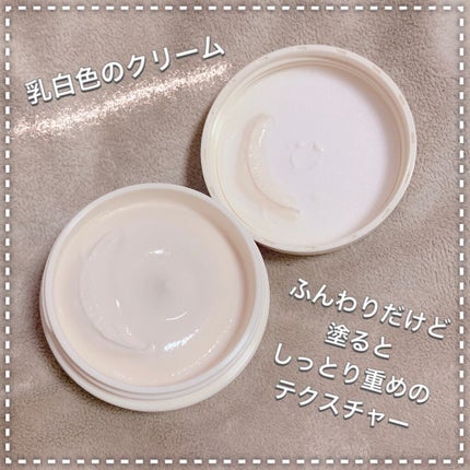 ワフードメイド 酒粕クリーム/pdc/フェイスクリームを使ったクチコミ(4枚目)