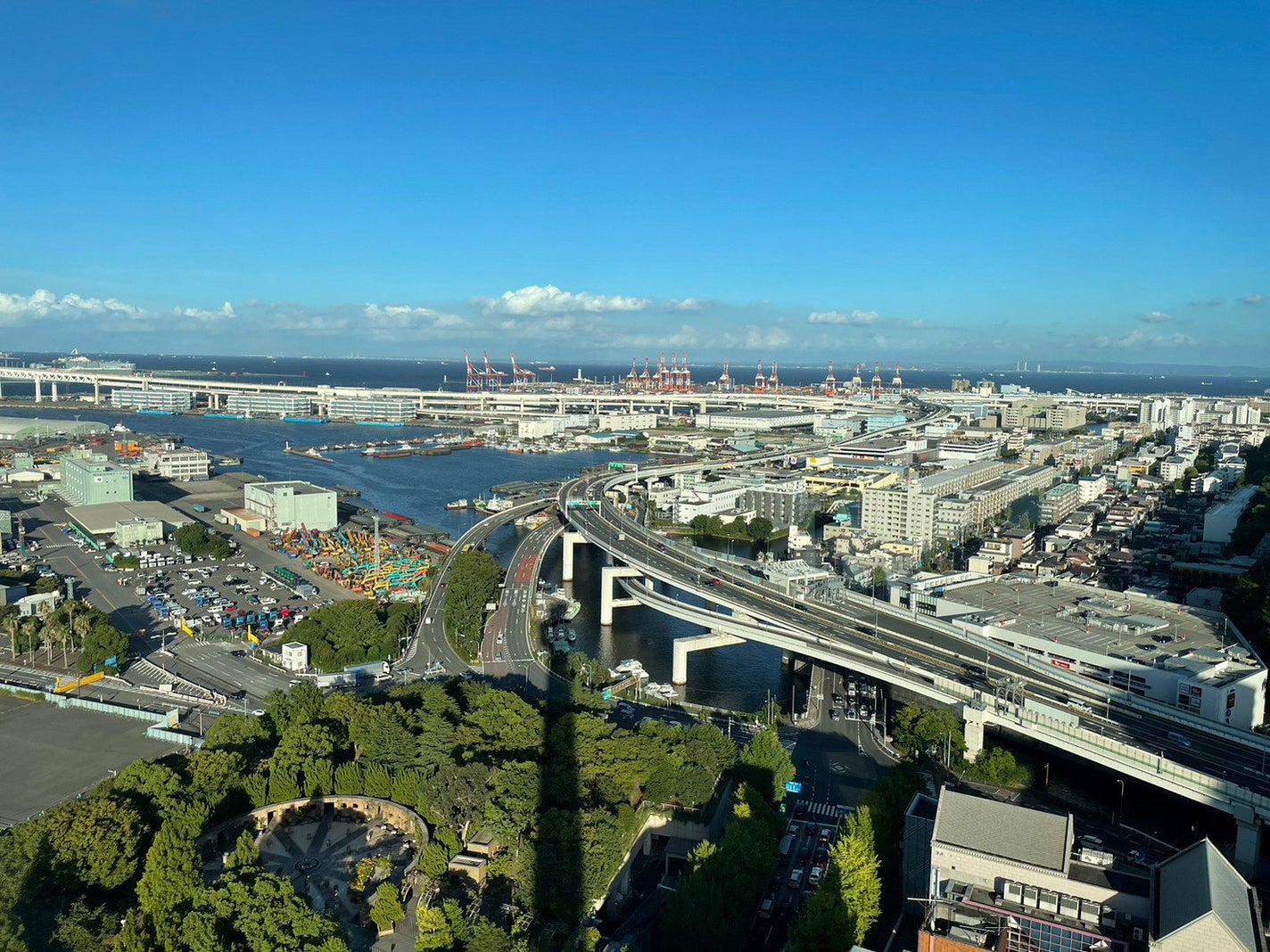 ヘリオホワイト/ロート製薬/美容サプリメントを使ったクチコミ(7枚目)