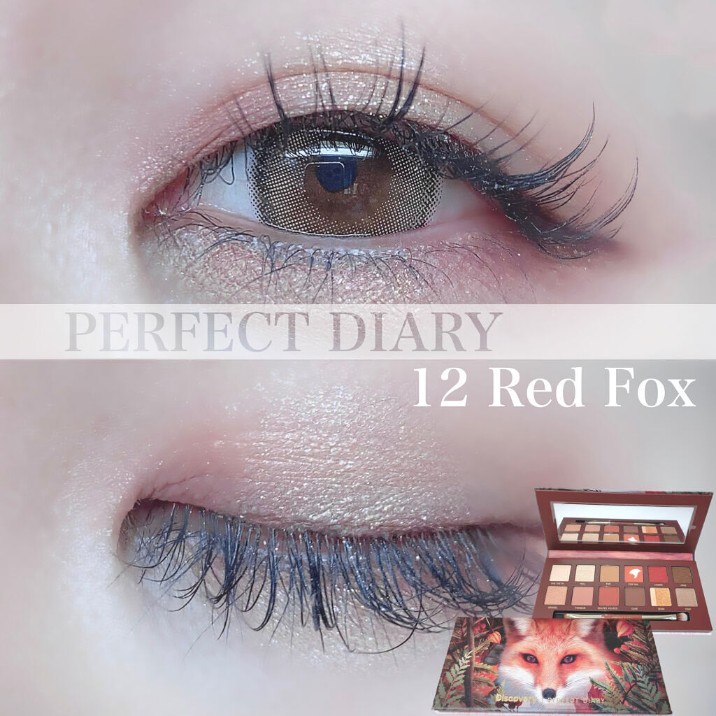 エクスプローラ12色 動物アイシャドウパレット/PERFECT DIARY/アイシャドウパレットを使ったクチコミ（1枚目）