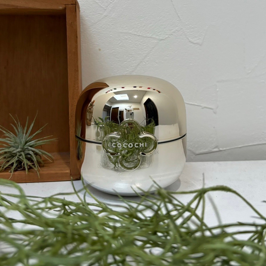 ココチ エージー グローイング エッセンス クリーム マスク/COCOCHI/フェイスクリームを使ったクチコミ（1枚目）