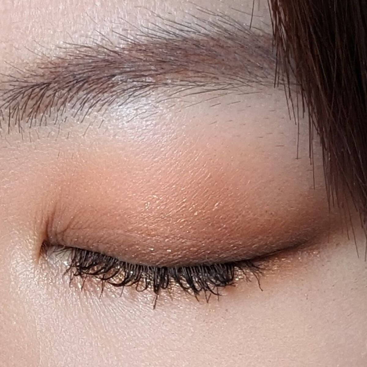 タルトレット E アマゾニアンクレイ パレット/tarte/アイシャドウパレットを使ったクチコミ(9枚目)