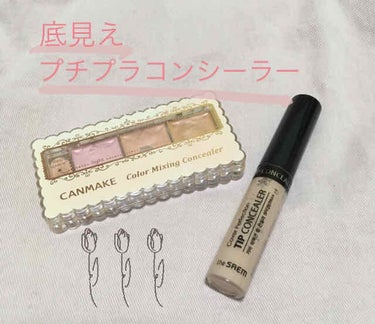 カバーパーフェクション チップコンシーラー/the SAEM/リキッドコンシーラーを使ったクチコミ（1枚目）