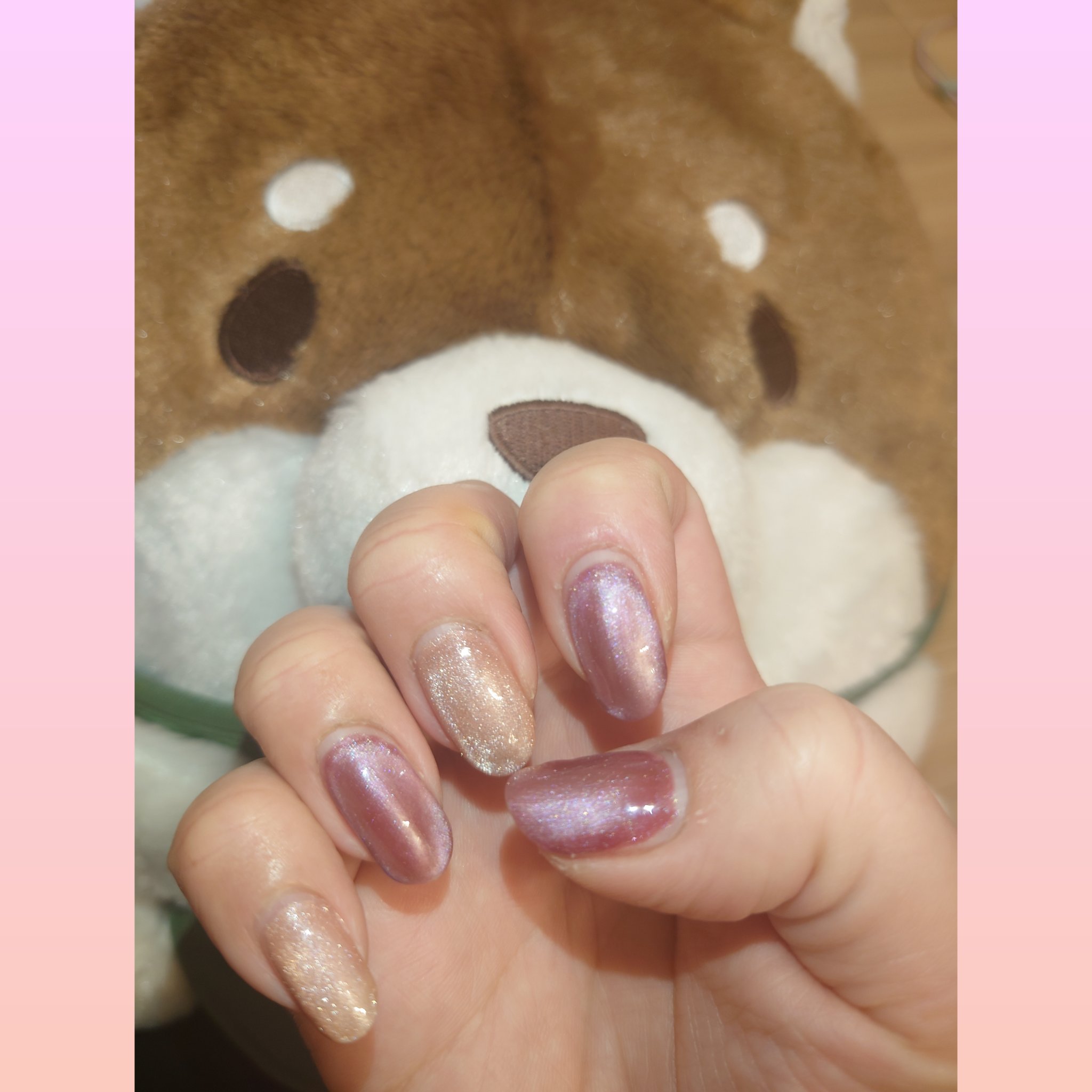 マグネットスティックネイルジェル/3COINS/ジェルネイルを使ったクチコミ（1枚目）