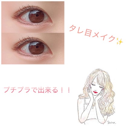 スキニーリッチシャドウ/excel/アイシャドウパレットを使ったクチコミ(2枚目)