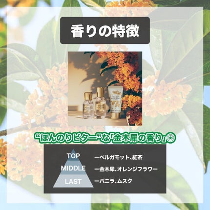 ビタースウィートオスマンサス オードパルファン & リペアヘアオイル/Flora Notis JILL STUART/その他キットセットを使ったクチコミ(3枚目)