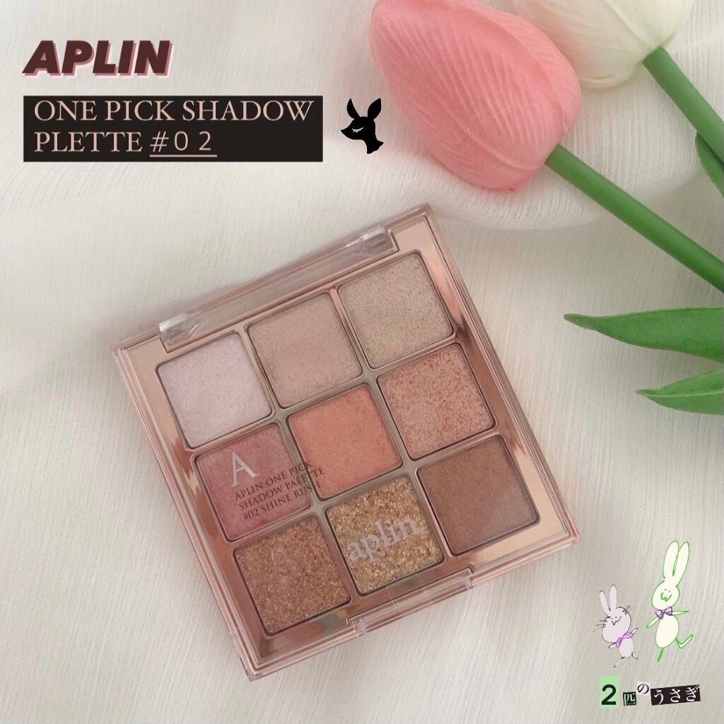 ワンピックアイシャドウパレット/APLIN/アイシャドウパレットを使ったクチコミ(1枚目)