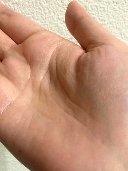 リポアシャンプー/リポアトリートメント/plus eau/市販シャンプーを使ったクチコミ(2枚目)