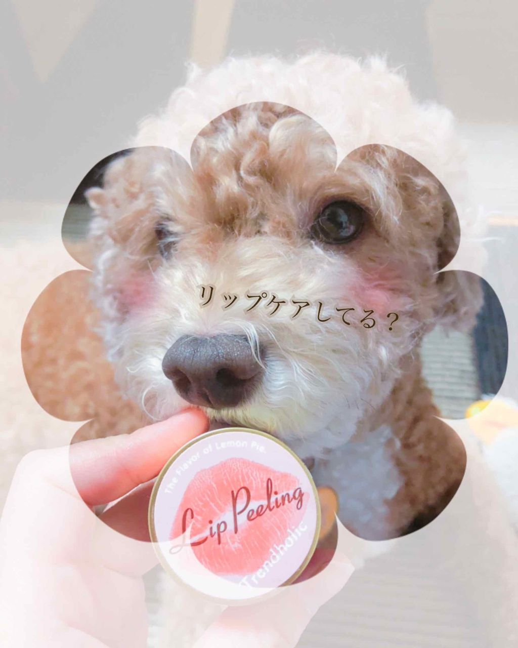 リップピーリング/トレンドホリック/リップスクラブを使ったクチコミ(1枚目)
