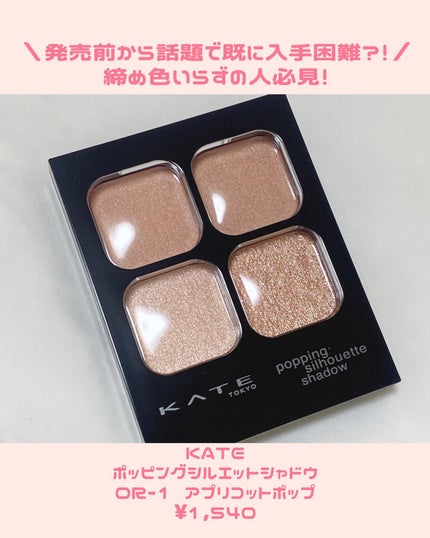ケイト ポッピングシルエットシャドウ/KATE/アイシャドウパレットを使ったクチコミ(2枚目)