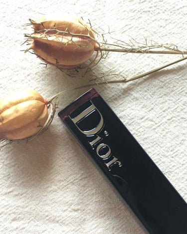 ディオール アディクト ラッカー スティック 887 ブロンズ シャマニック（生産終了）/Dior/口紅を使ったクチコミ（1枚目）